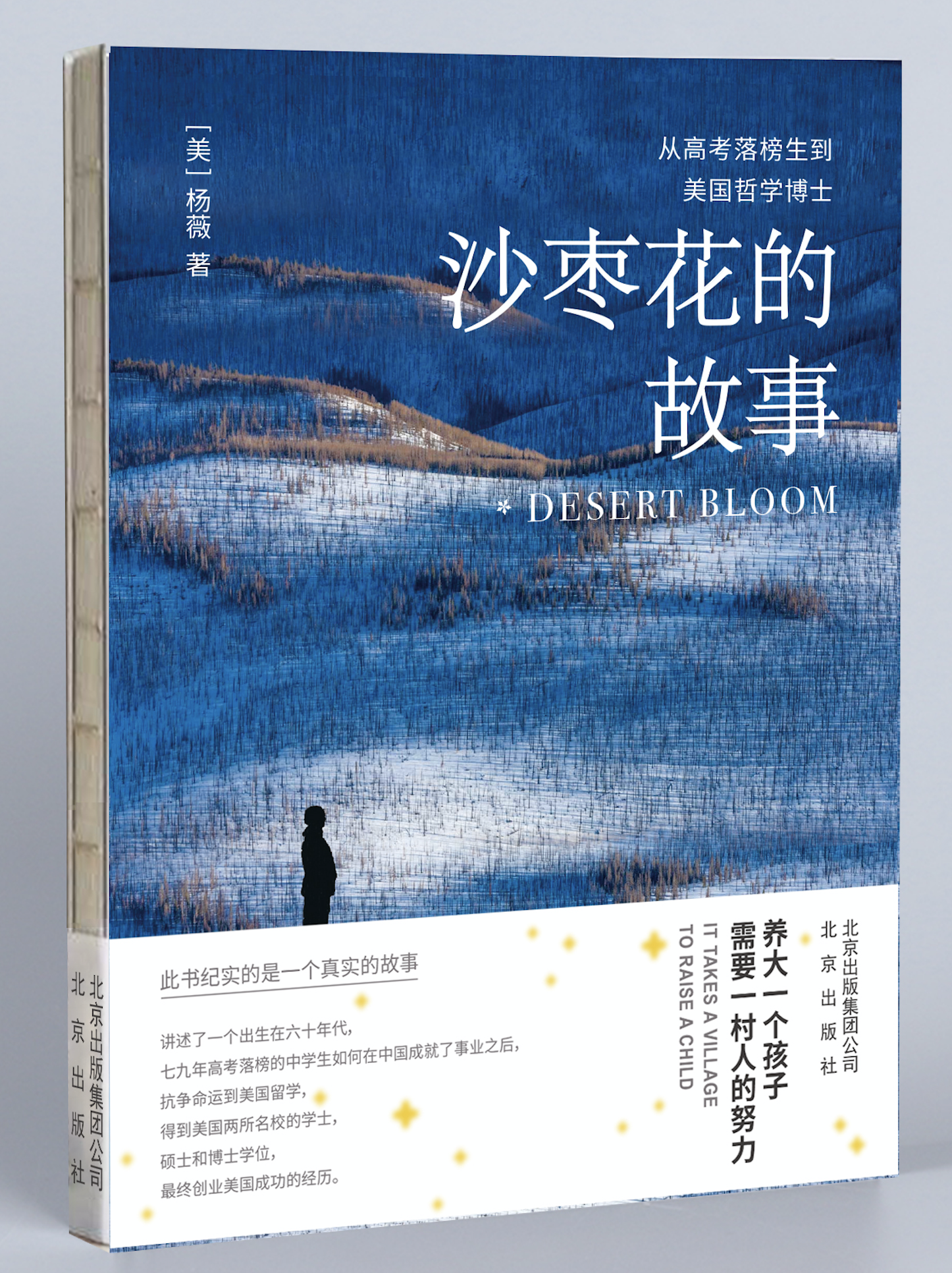 Memoir by Wei Yang, Ph.D. in Chinese Art